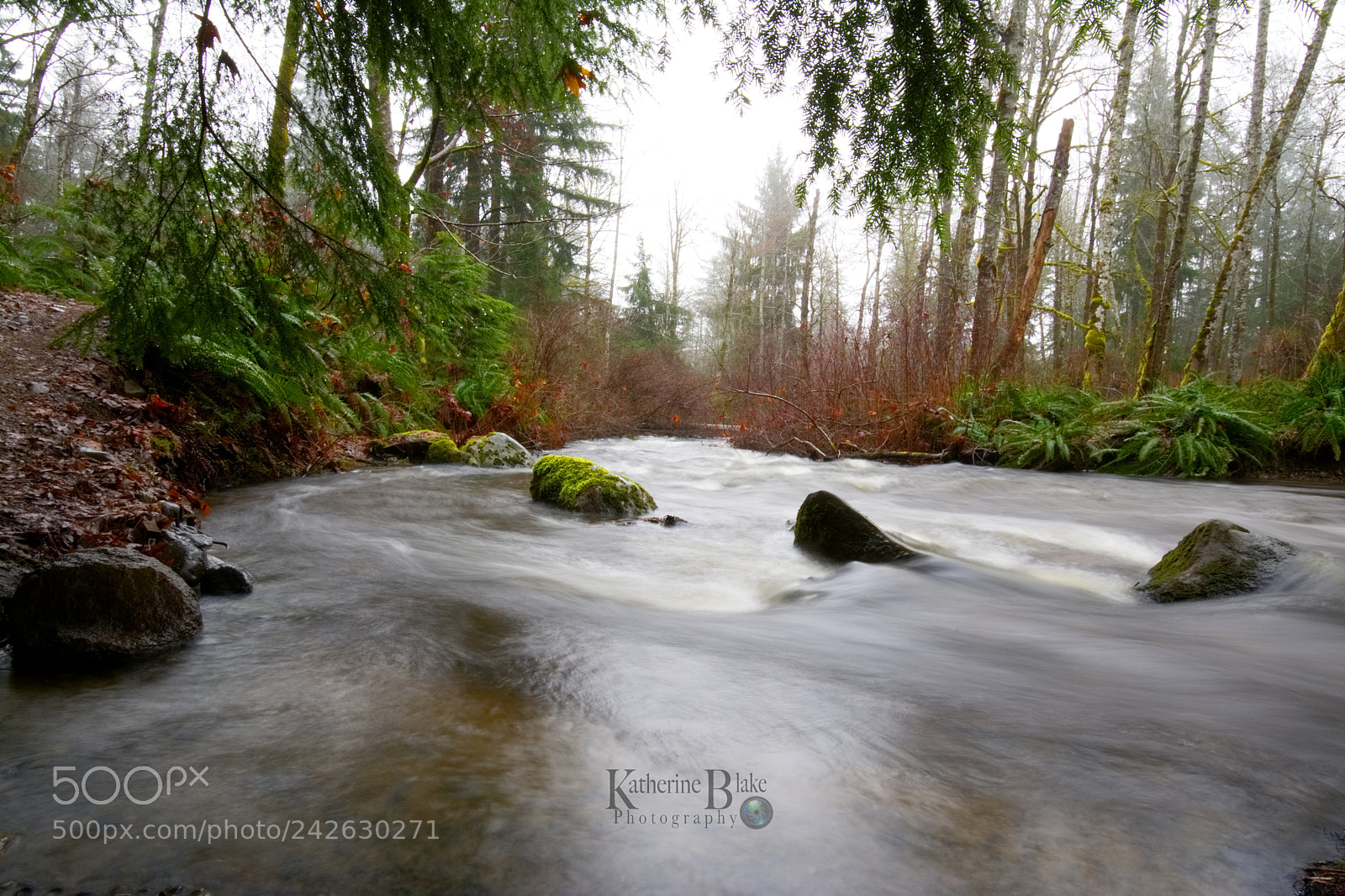 Nikon D7100 sample photo. Creek side views photography