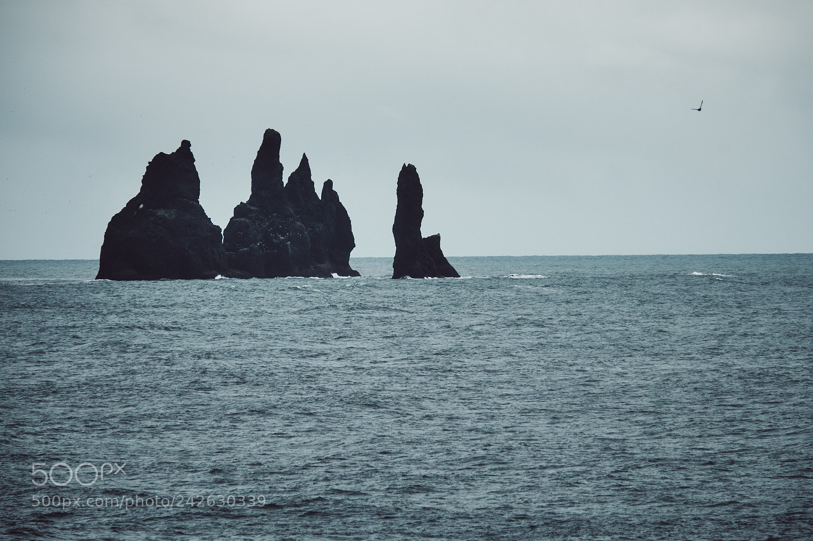 Fujifilm X-E2 sample photo. 2017-08-27 14.35.16_1.jpg photography