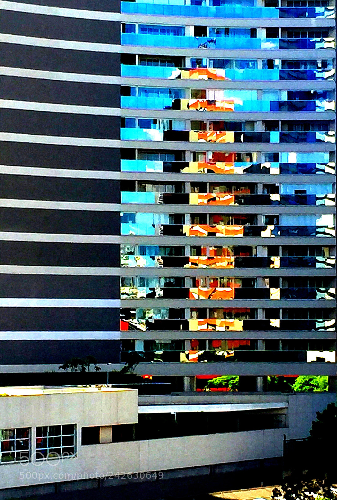 Apple iPhone 6 sample photo. Saturated reflection photography