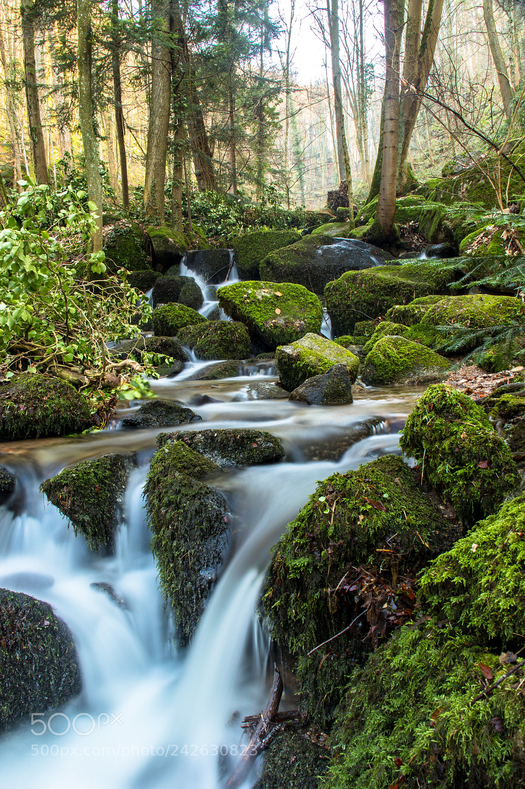 Canon EOS 77D (EOS 9000D / EOS 770D) sample photo. Gaishöll waterfalls photography