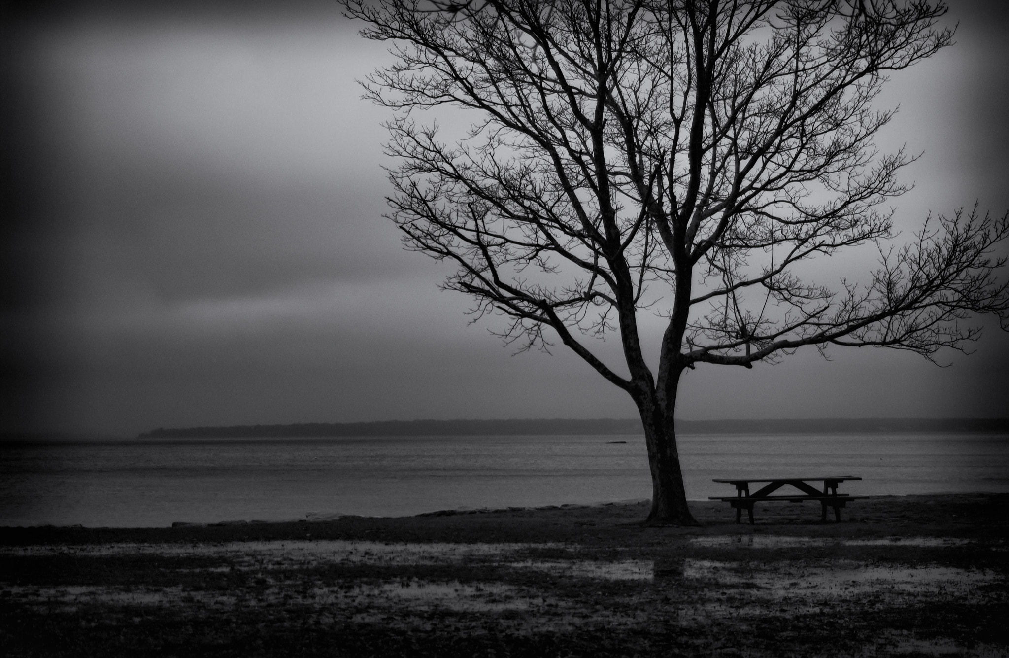 Nikon D1X sample photo. Picnic photography