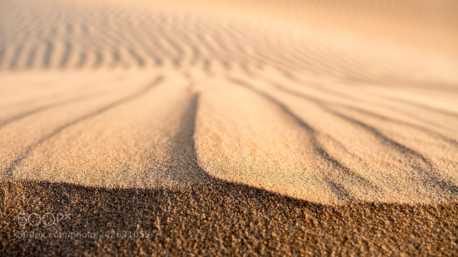 Fujifilm X-T2 sample photo. Grains of sand, abu photography