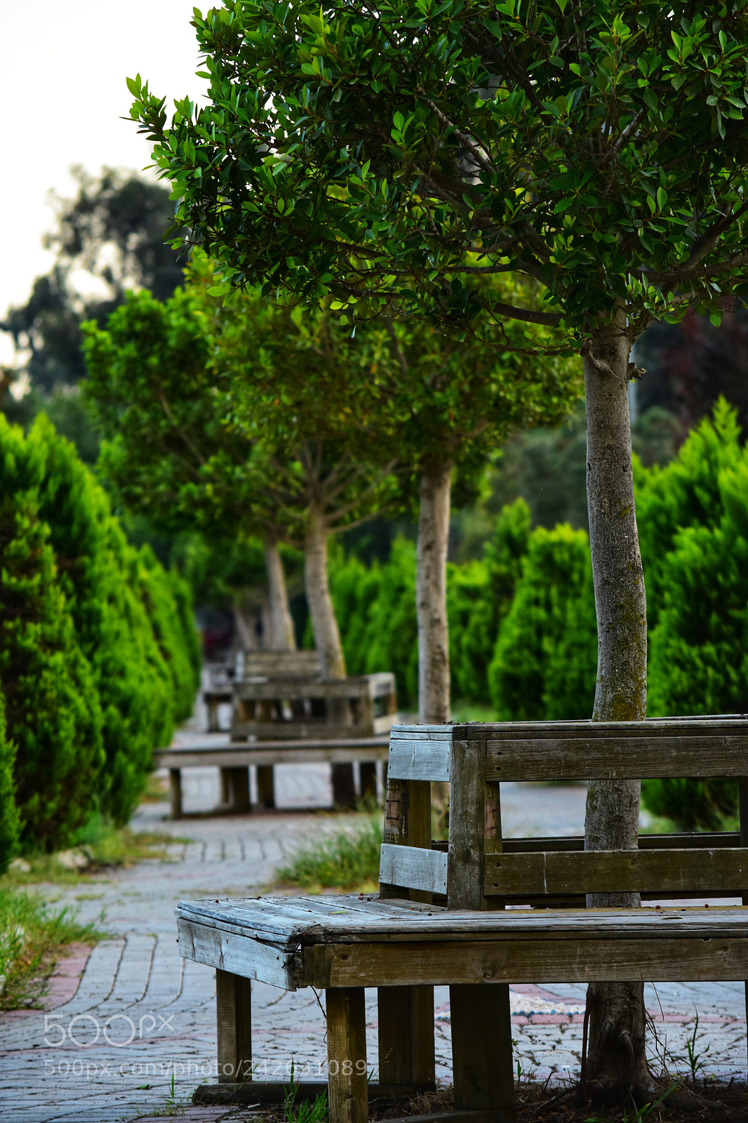 Nikon D7200 sample photo. Untitled photography