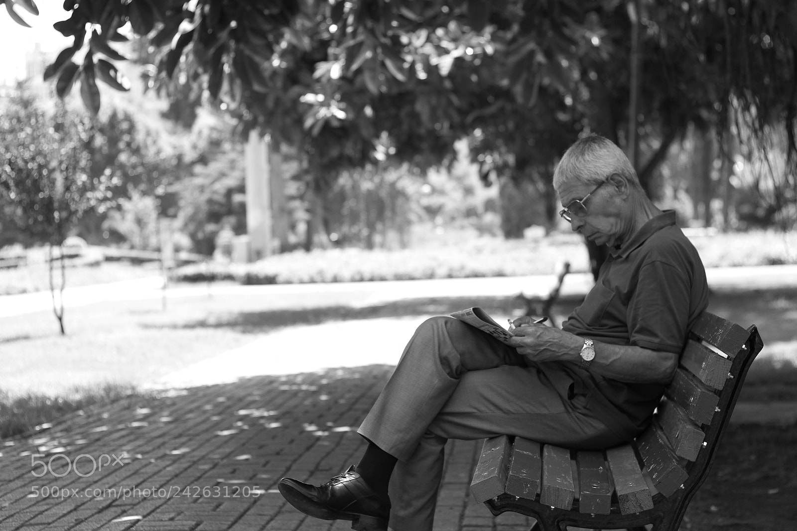 Canon EOS 7D + Canon EF 50mm F1.8 II sample photo. Mg photography