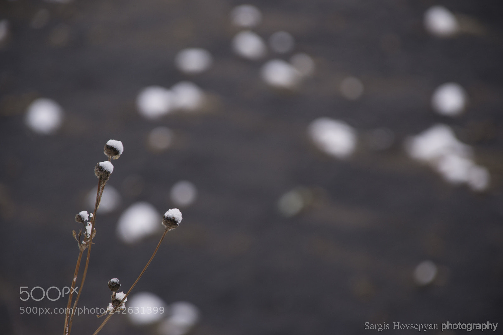 Nikon D3100 sample photo. Winter armenia photography