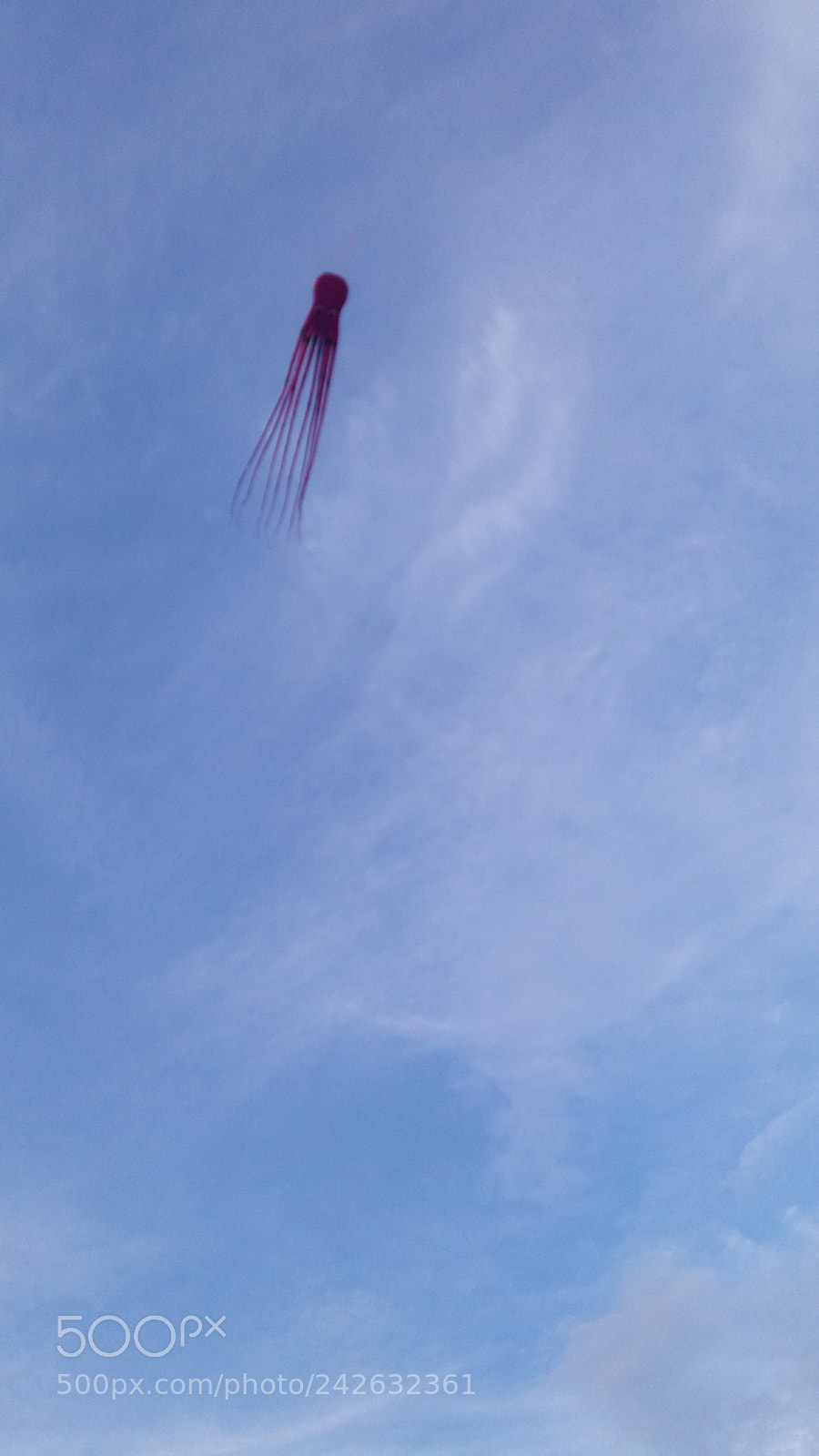 Samsung Galaxy J5 sample photo. Octopus kite photography