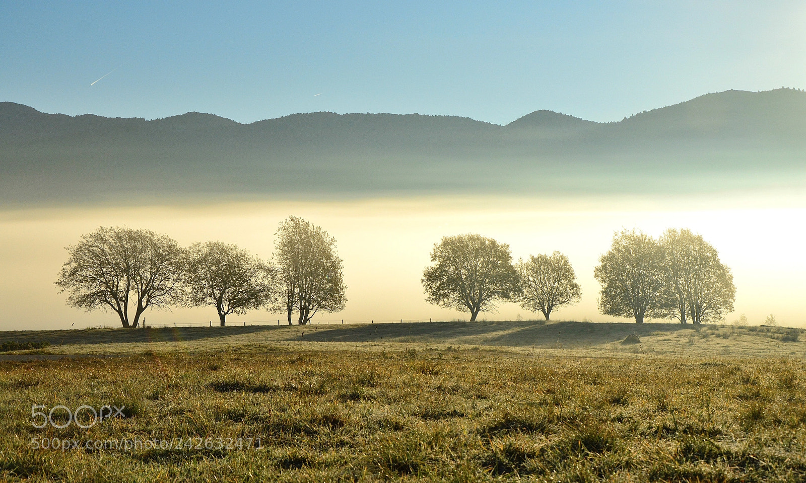 Nikon D3200 sample photo. Luce del cansiglio photography