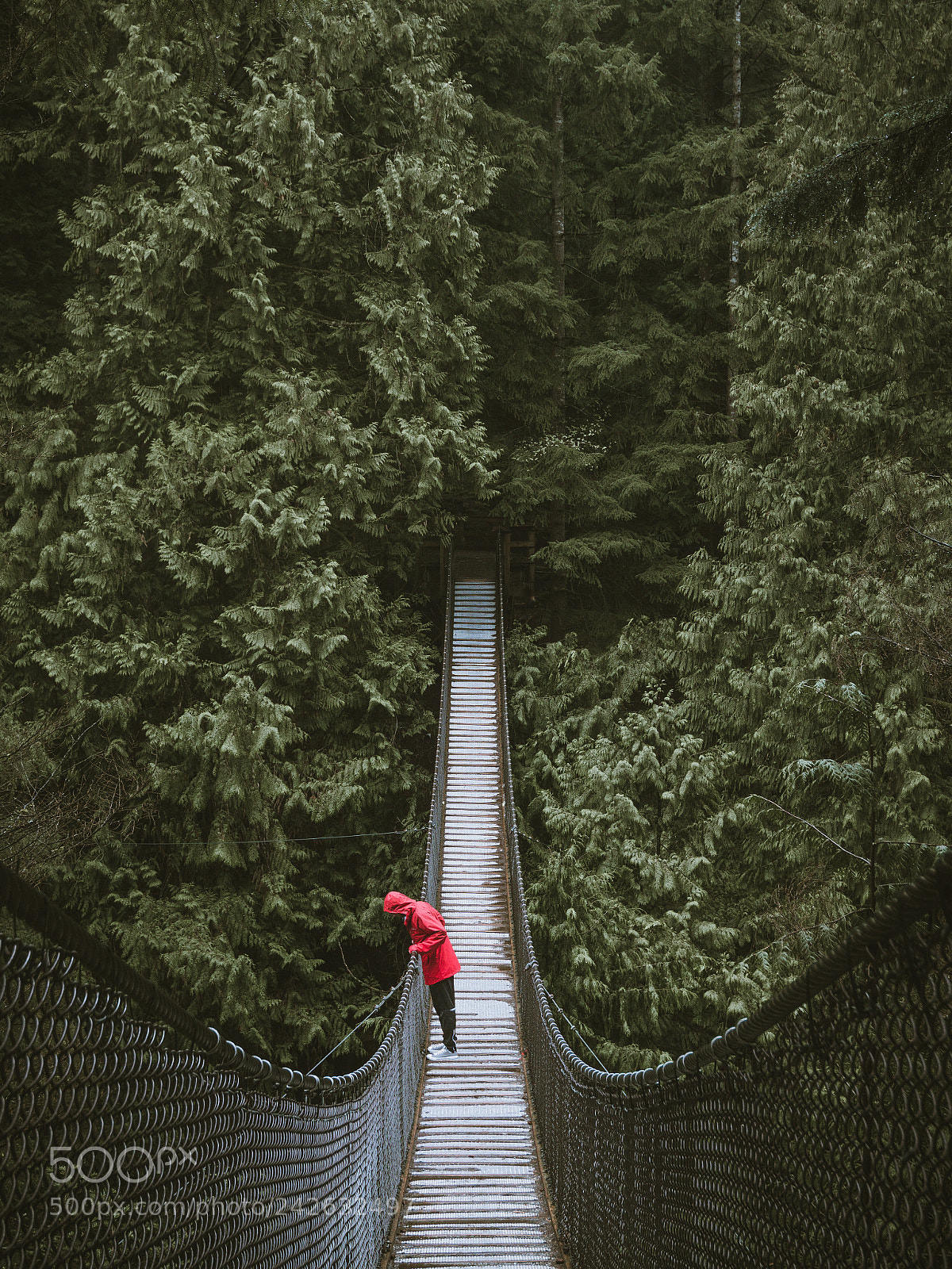 Nikon D3200 sample photo. Suspension bridge photography