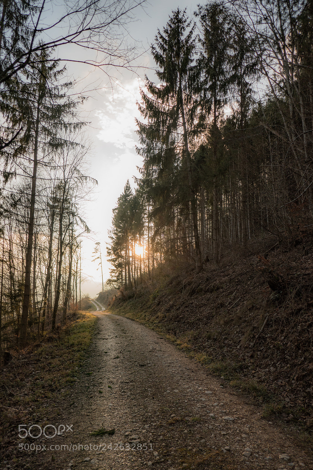 Panasonic DMC-TZ101 sample photo. Endlos scheint der weg photography