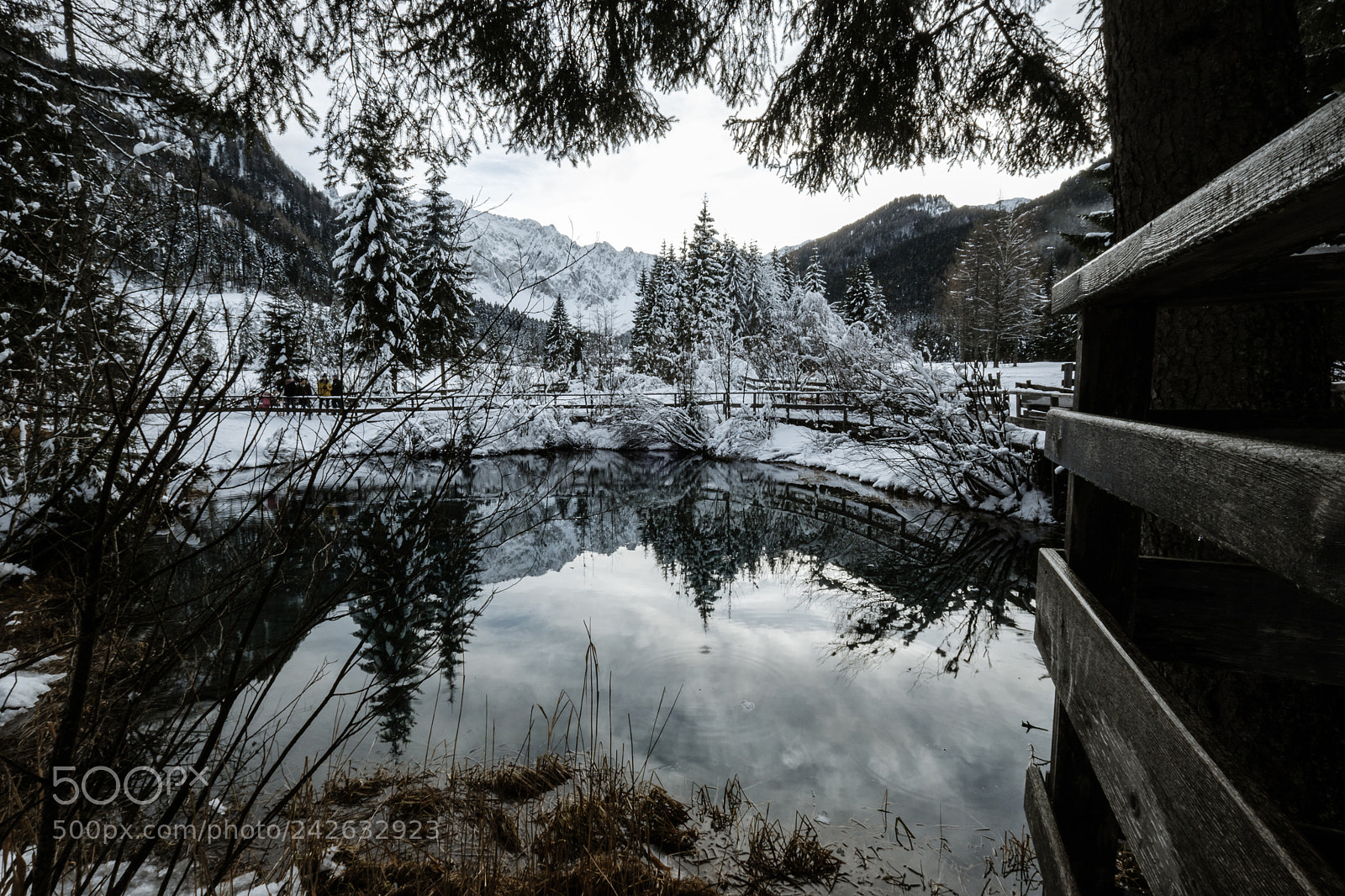 Fujifilm X-T20 sample photo. Winterfeeling photography