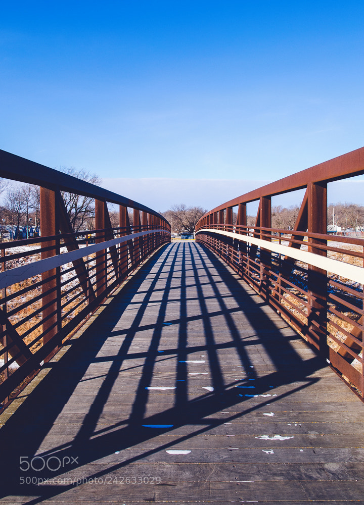 Canon EOS-1D X Mark II sample photo. Bridge in iowa photography