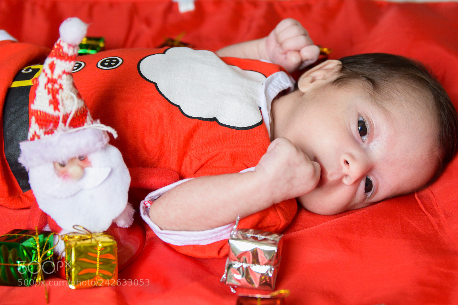 Nikon D7100 sample photo. Untitled photography