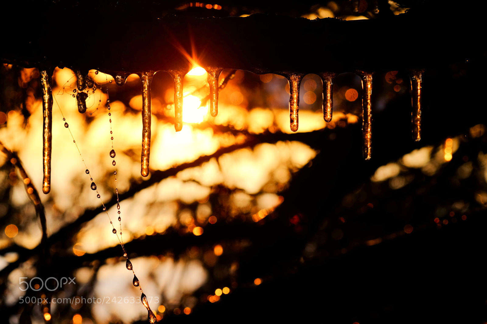 Fujifilm X-T1 sample photo. () photography