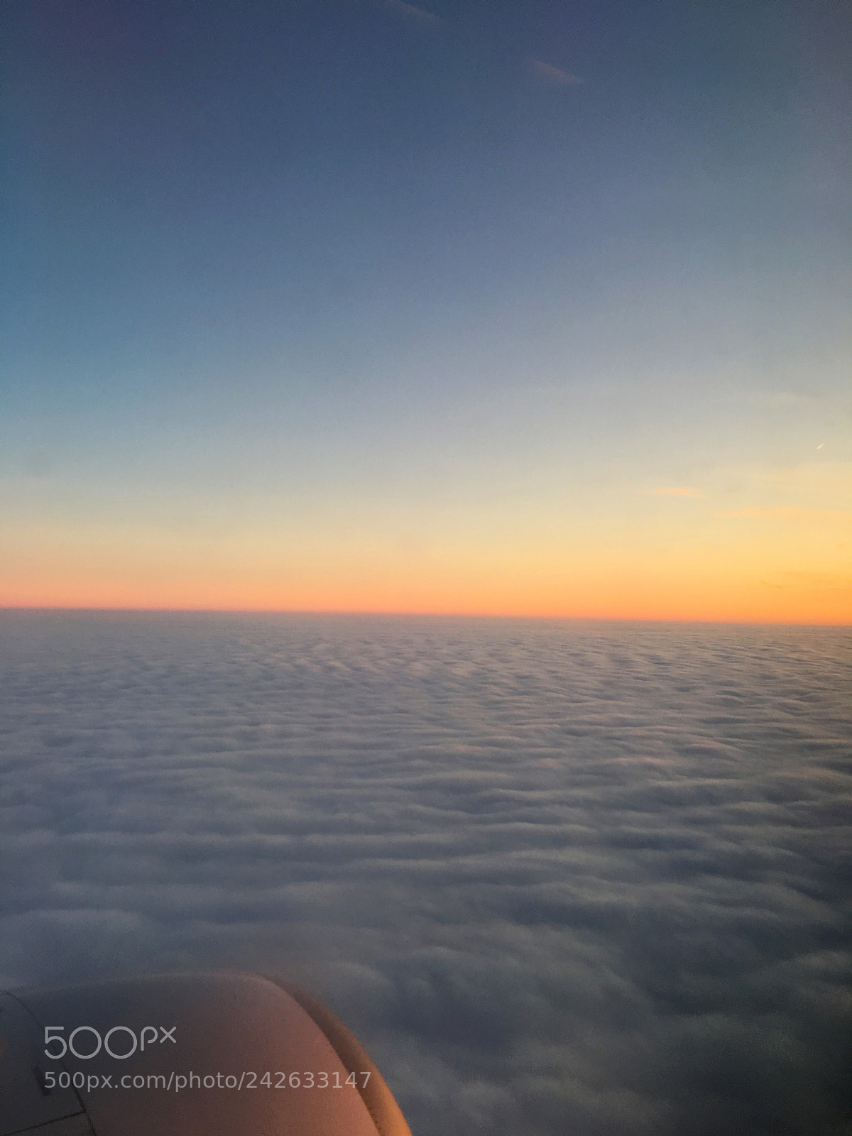 Apple iPhone 6s sample photo. I love flying photography