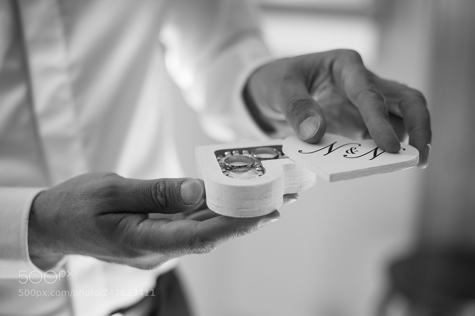 Canon EOS-1D X Mark II sample photo. Anillos photography