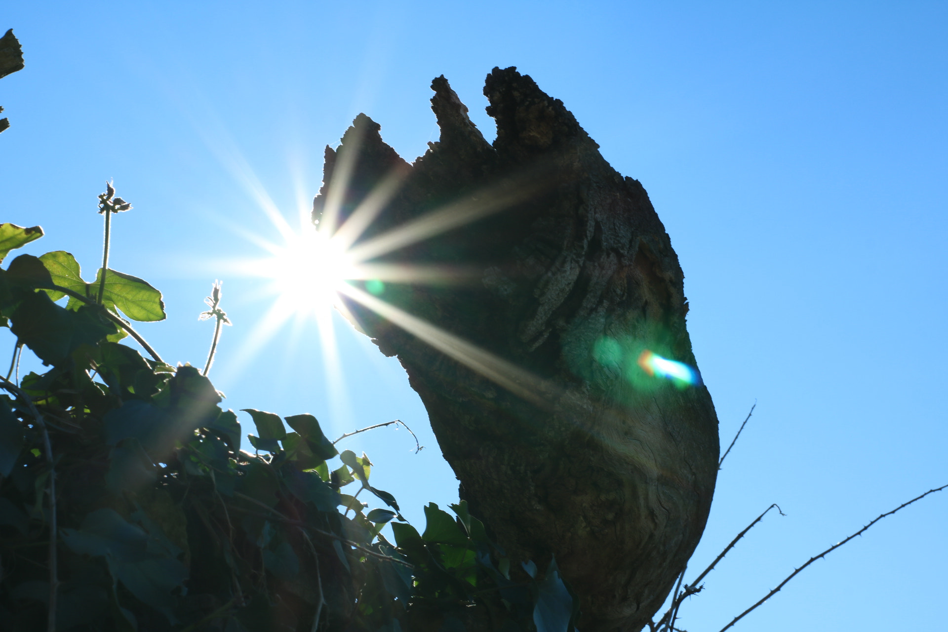 Canon 50mm sample photo