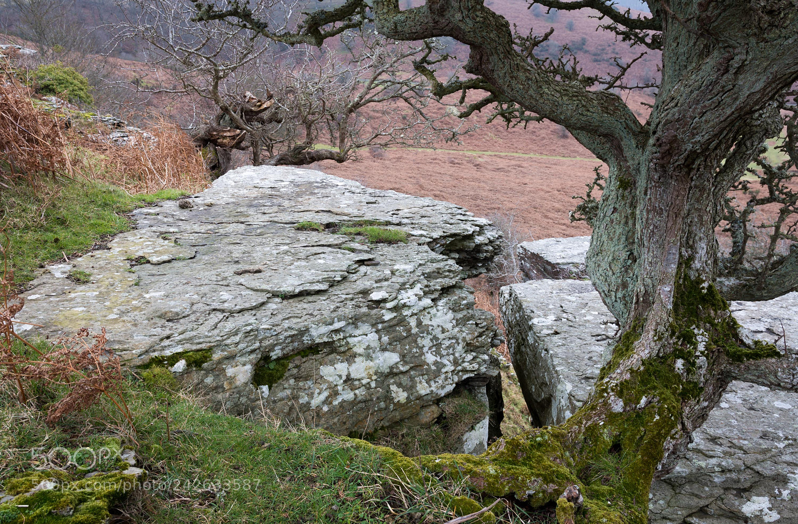 Nikon D7200 sample photo. Weathering photography