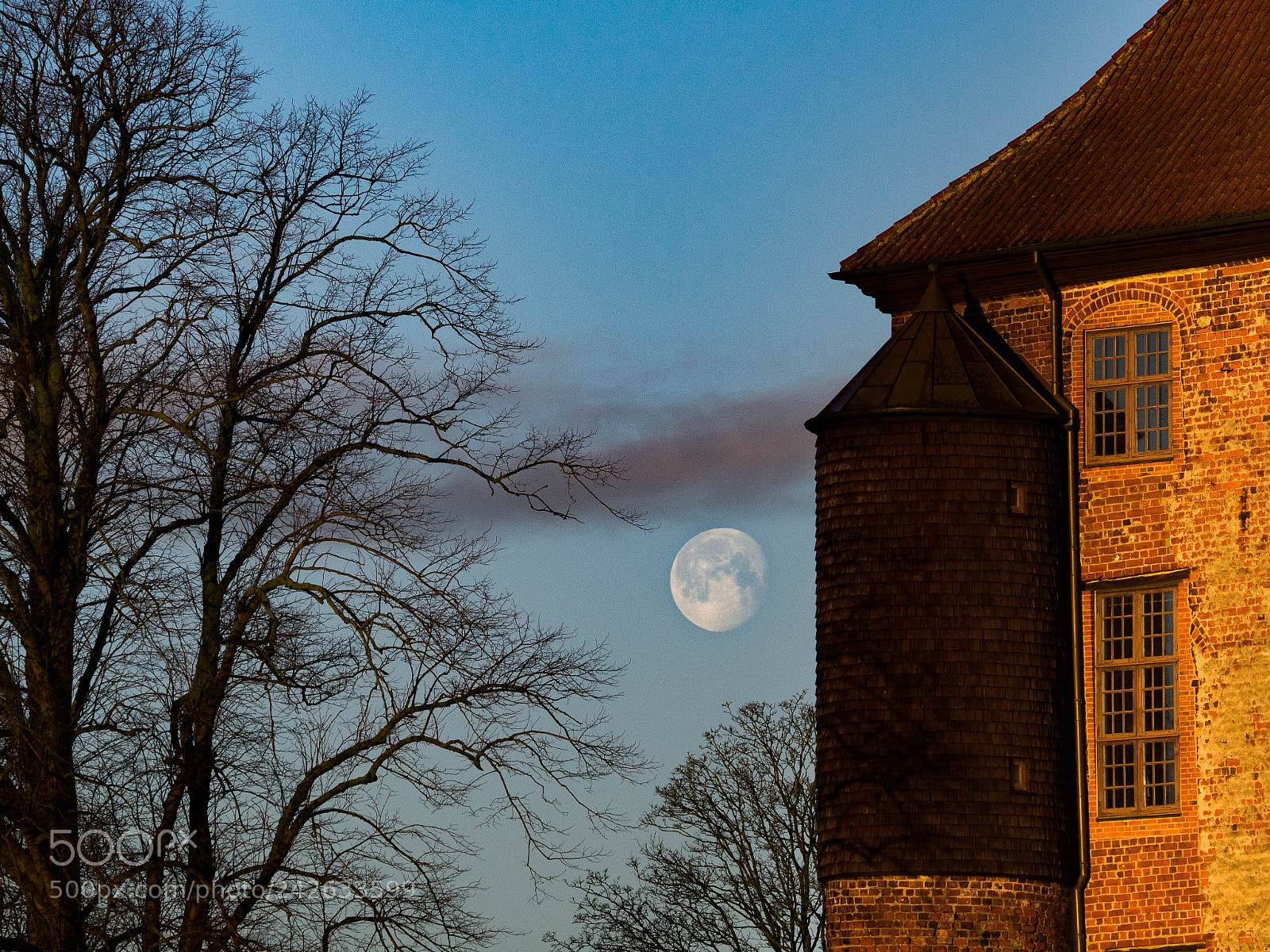 Olympus OM-D E-M10 sample photo. Low moon photography