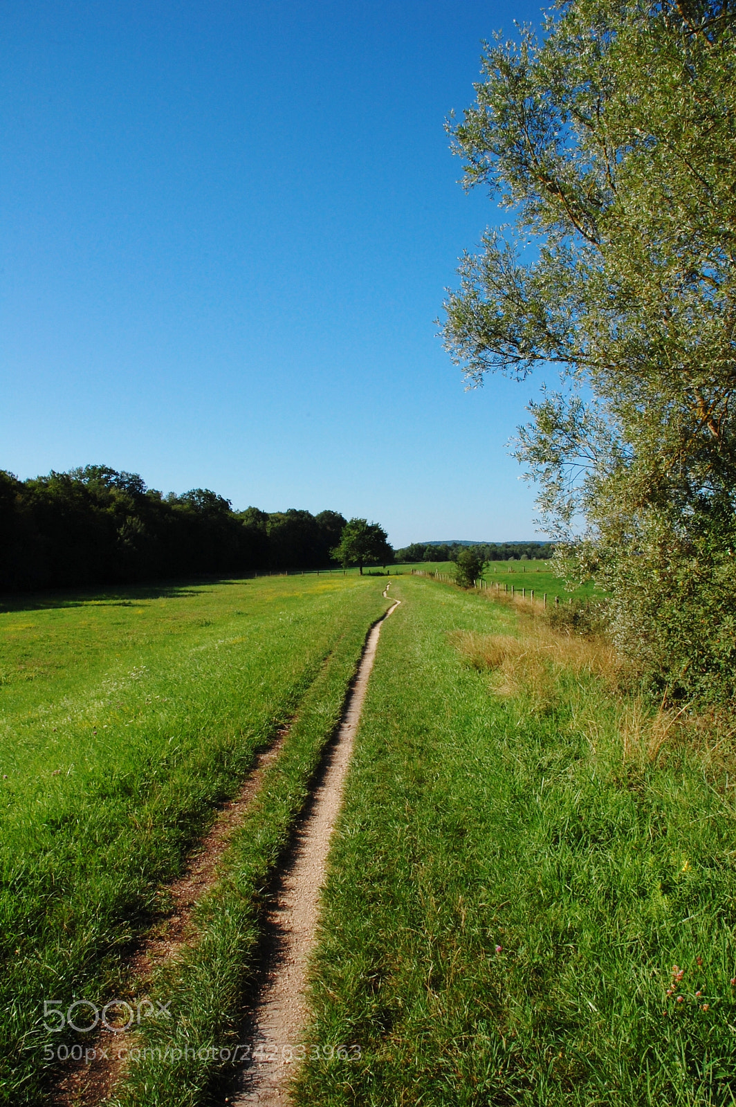 Nikon D40 sample photo. Summer landscape photography