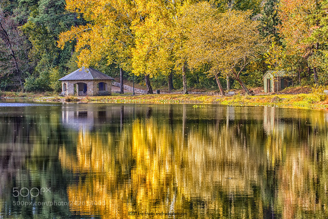 Canon EOS 60D sample photo. Autumn leaves photography