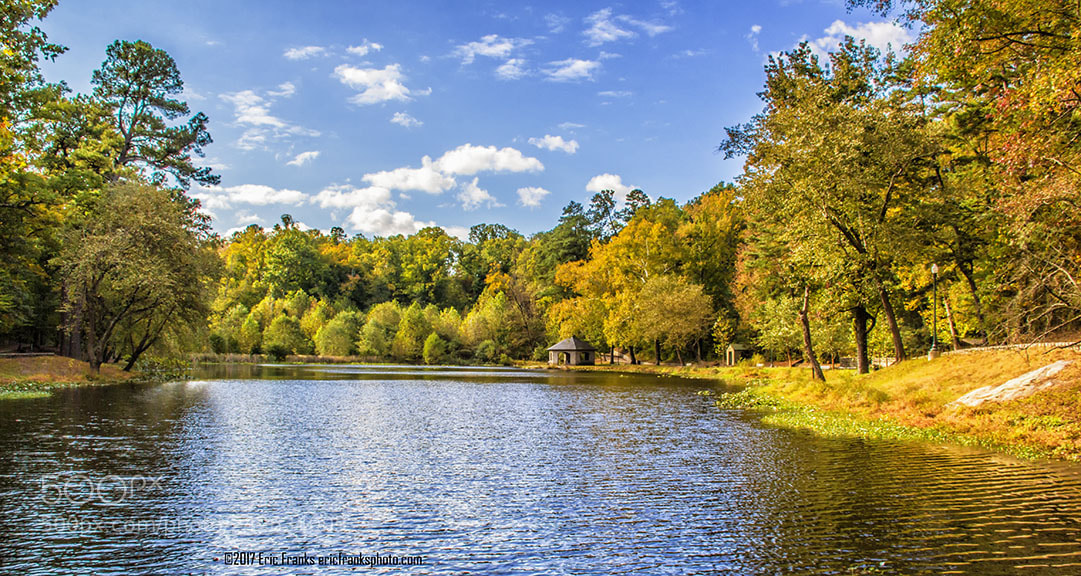 Canon EOS 60D sample photo. Autumn leaves photography
