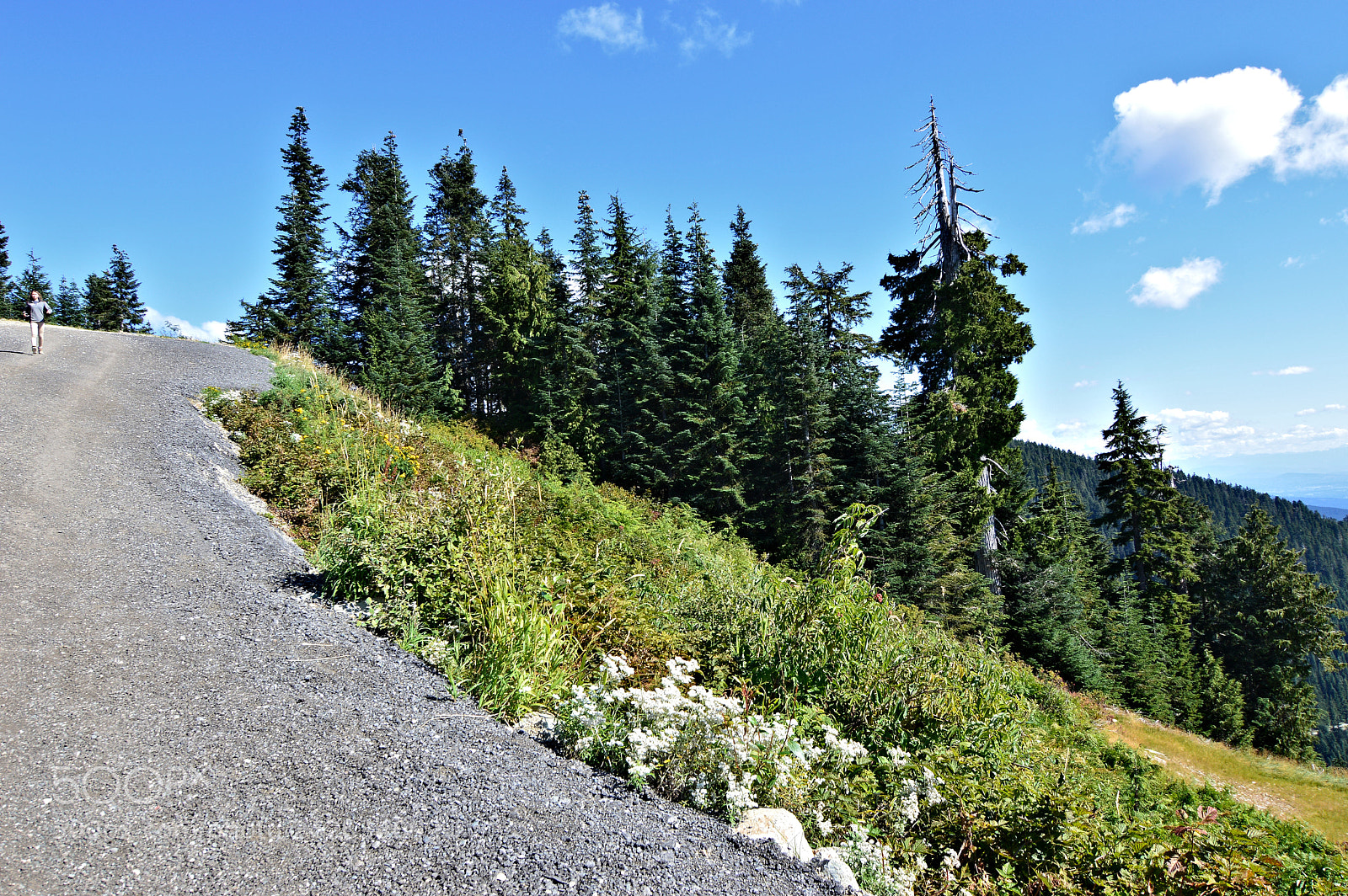 Nikon D3200 sample photo. Vancouver mountain photography