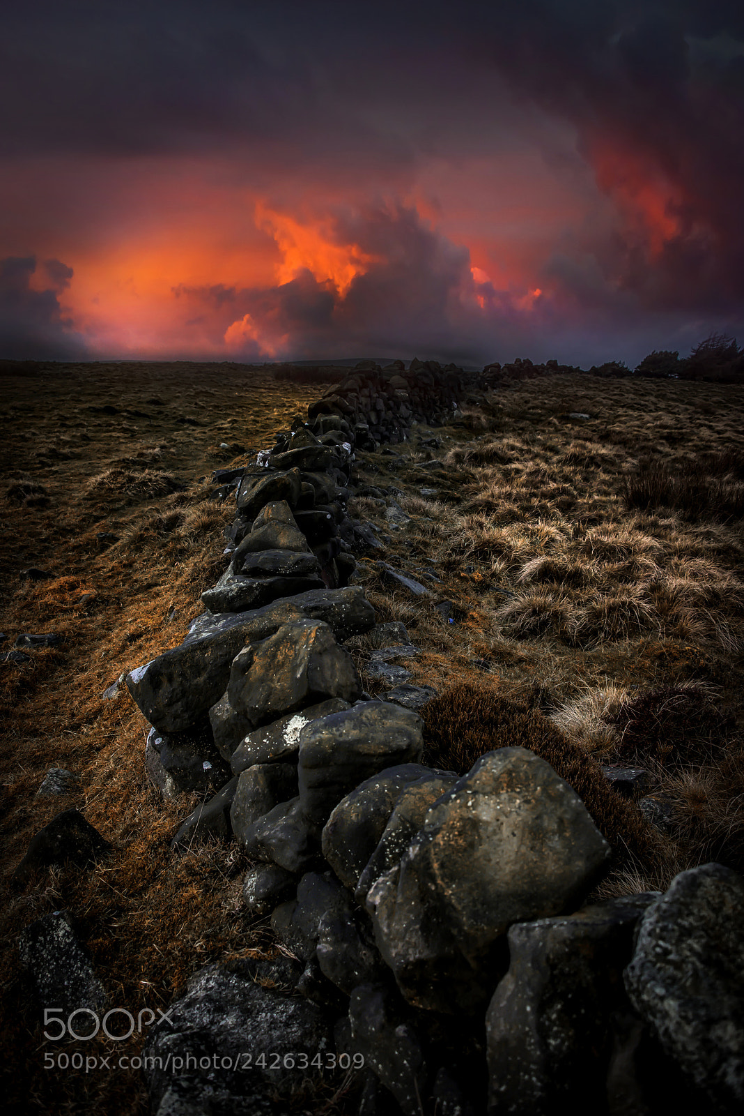 Nikon D800 sample photo. Red peaks photography