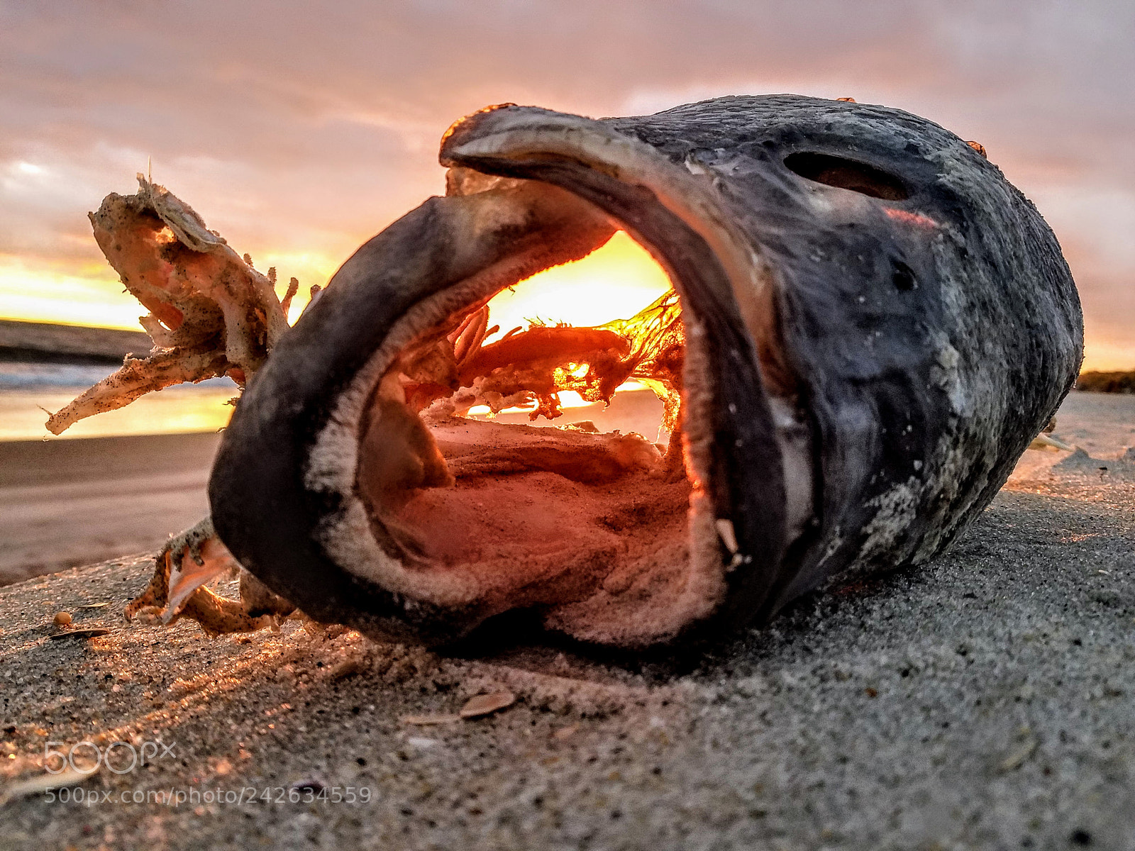 Samsung Galaxy S7 sample photo. Eternal sunset photography