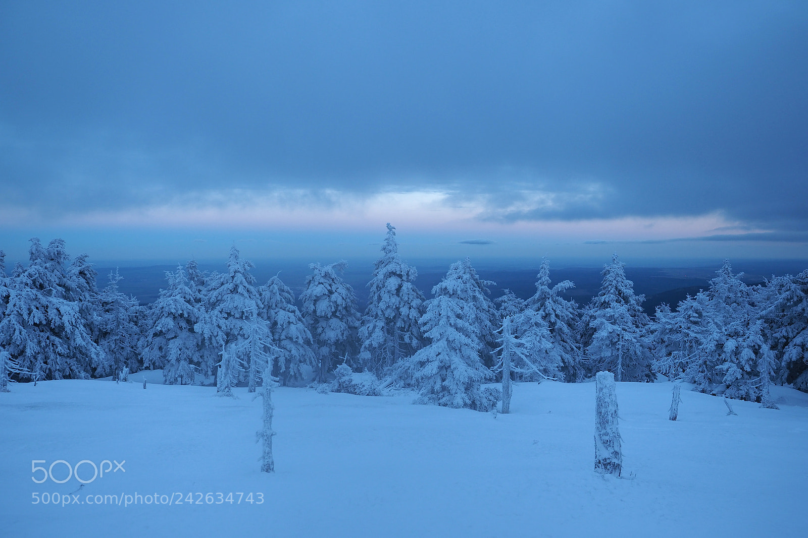 Olympus OM-D E-M1 Mark II sample photo. Brocken mountain photography