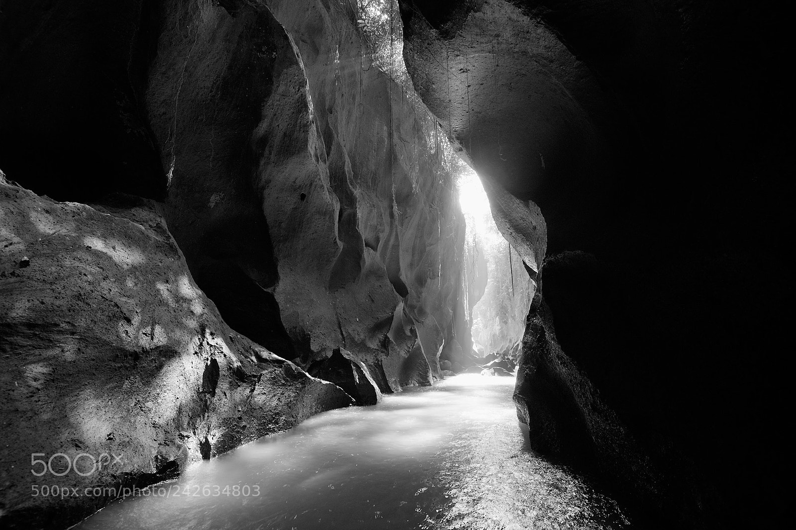 Nikon D800 sample photo. Dark shelter photography
