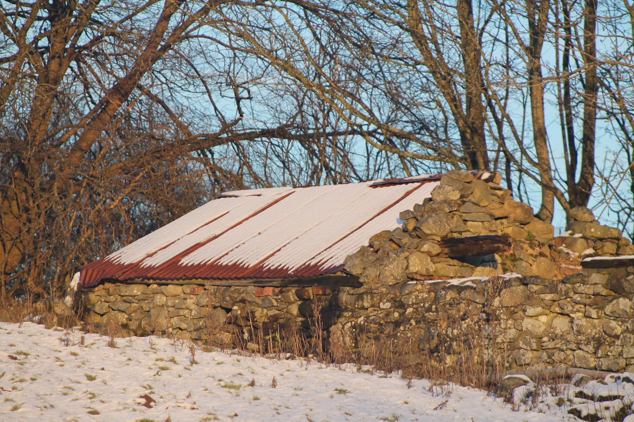 Canon EOS 1100D (EOS Rebel T3 / EOS Kiss X50) + EF75-300mm f/4-5.6 sample photo. Snowy shed photography