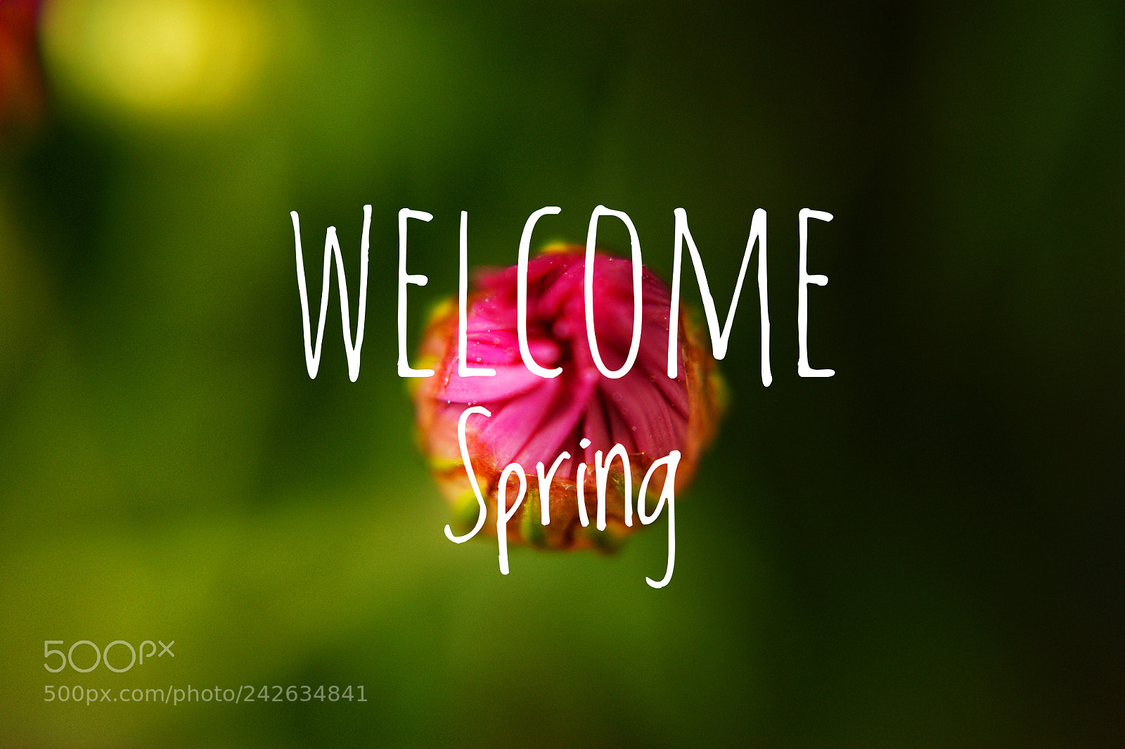 Sony Alpha DSLR-A380 sample photo. Wording welcome spring with photography