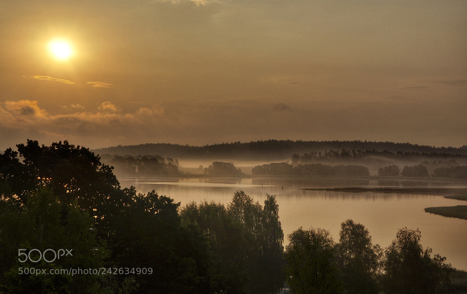 Nikon D90 sample photo. Morning mist photography