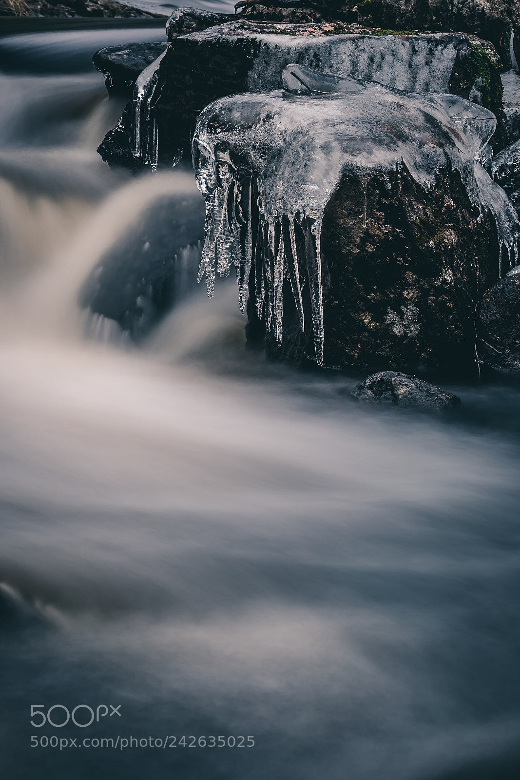 Fujifilm X-T20 sample photo. Winter is here. photography