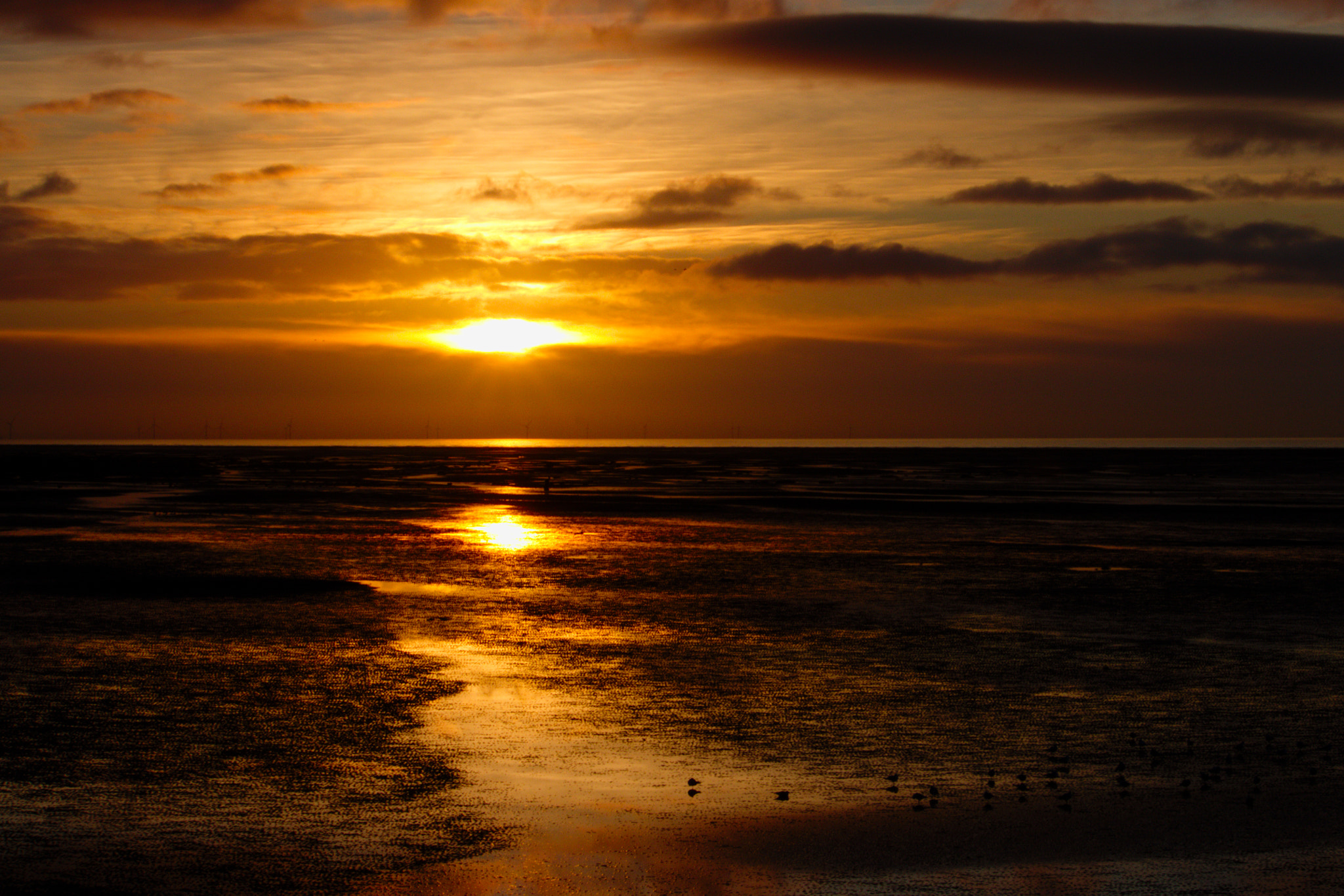 Canon EF-S 55-250mm F4-5.6 IS II sample photo. Sunset... photography
