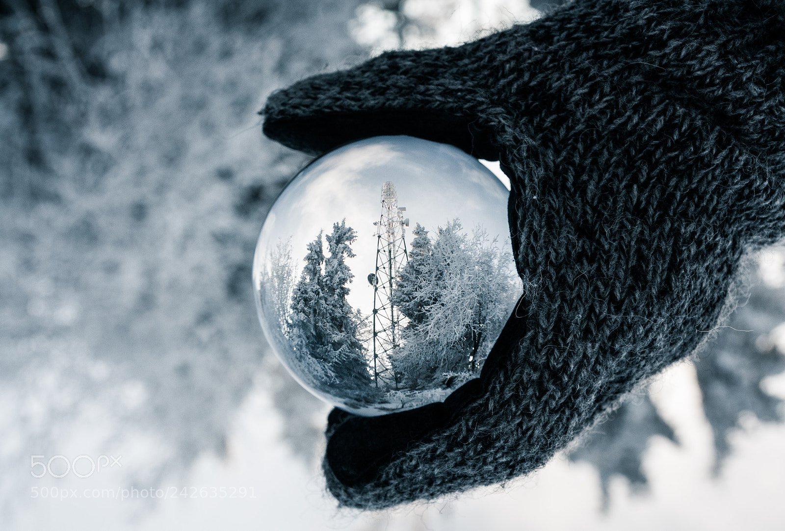 Canon EOS 450D (EOS Rebel XSi / EOS Kiss X2) sample photo. Winter in lensball photography