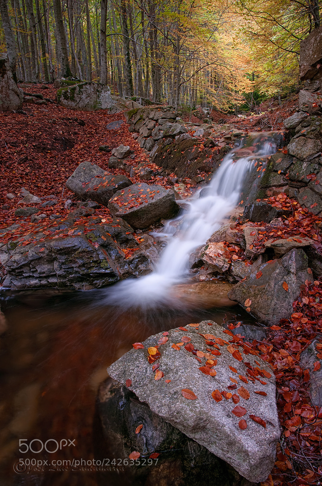 Nikon D300S sample photo. Montseny 2012 photography
