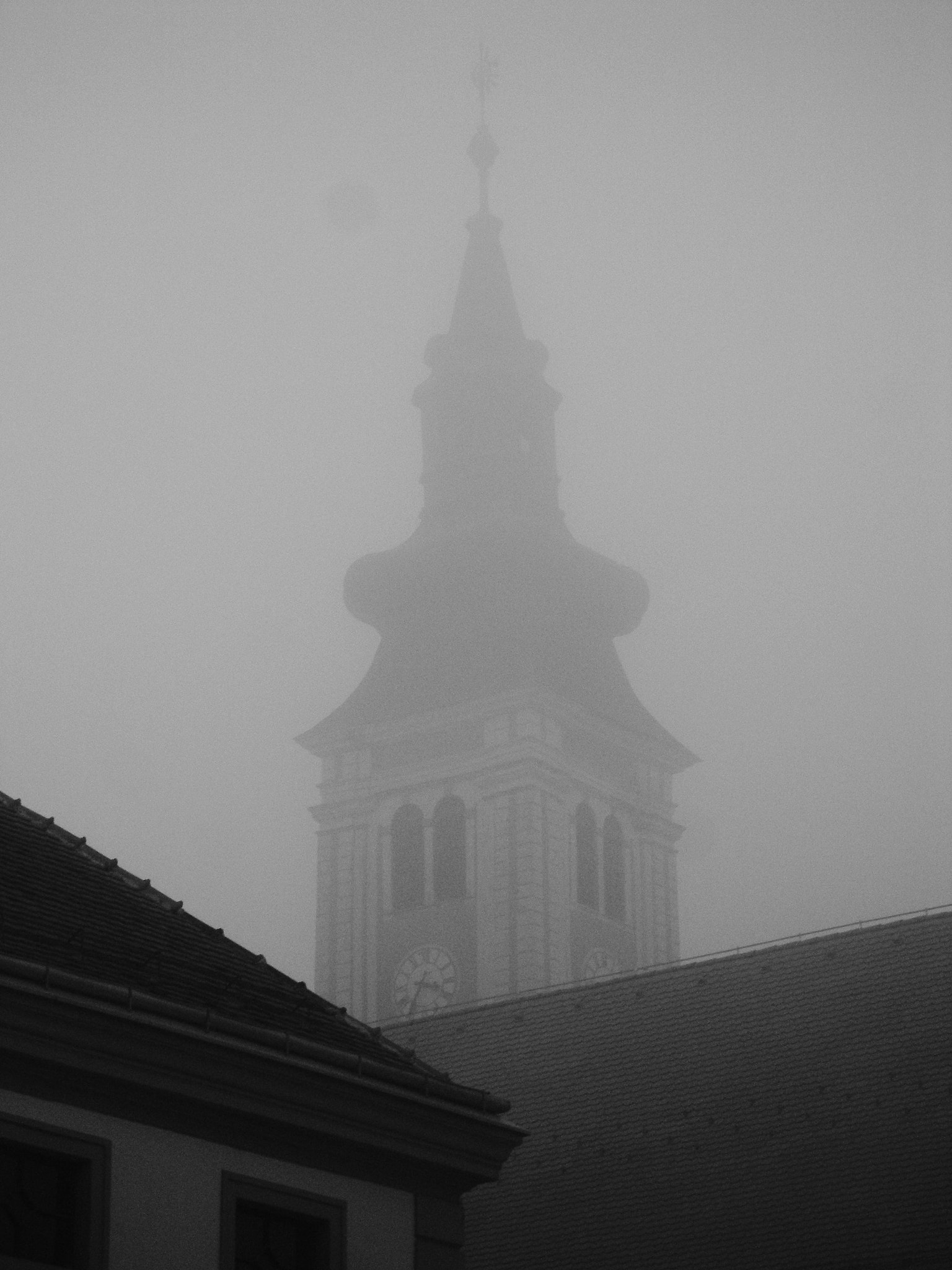 Olympus SP350 sample photo. In the mist photography