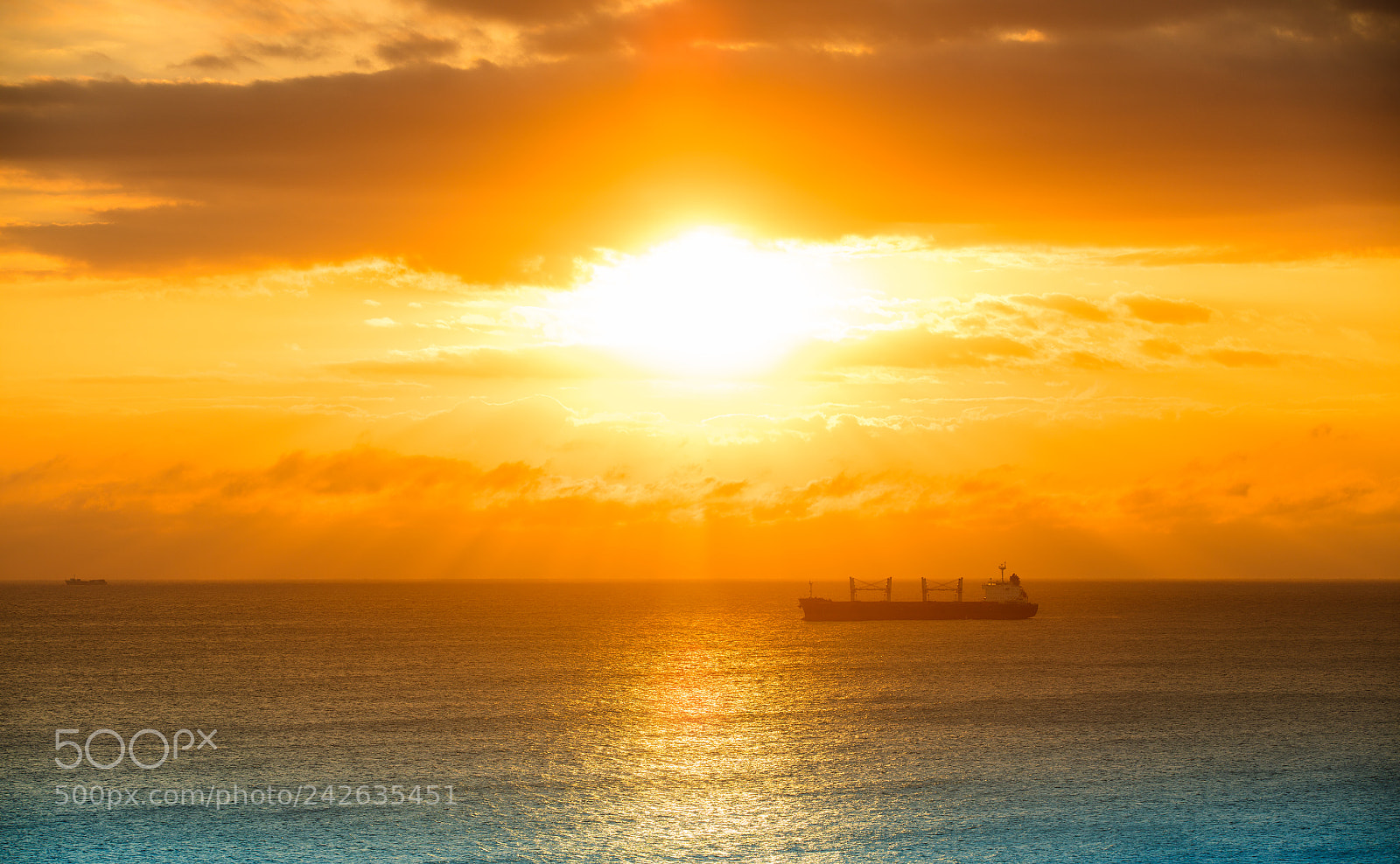 Canon EOS 5DS sample photo. Untitled photography