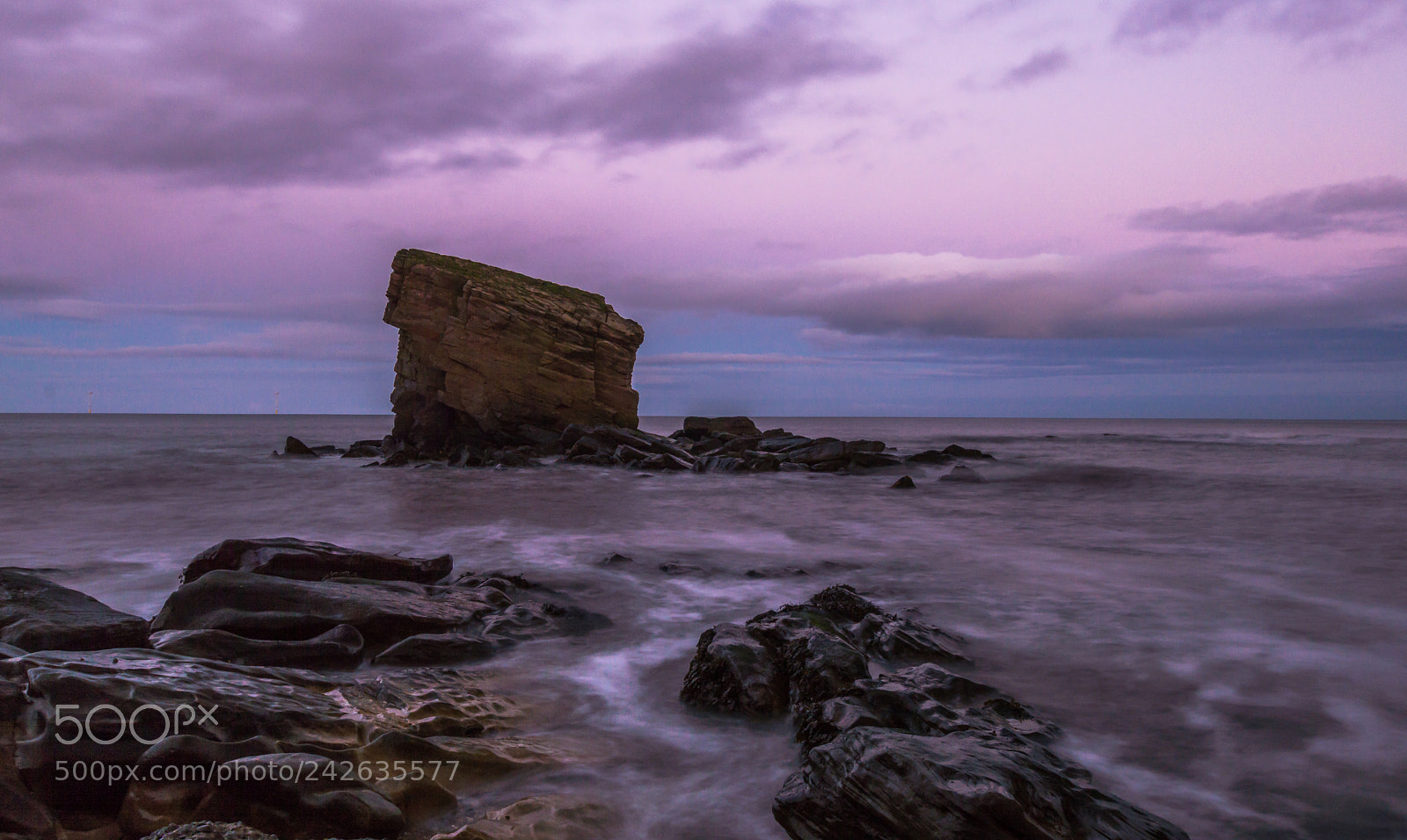 Nikon D3200 sample photo. Charlie's garden, seaton sluice photography