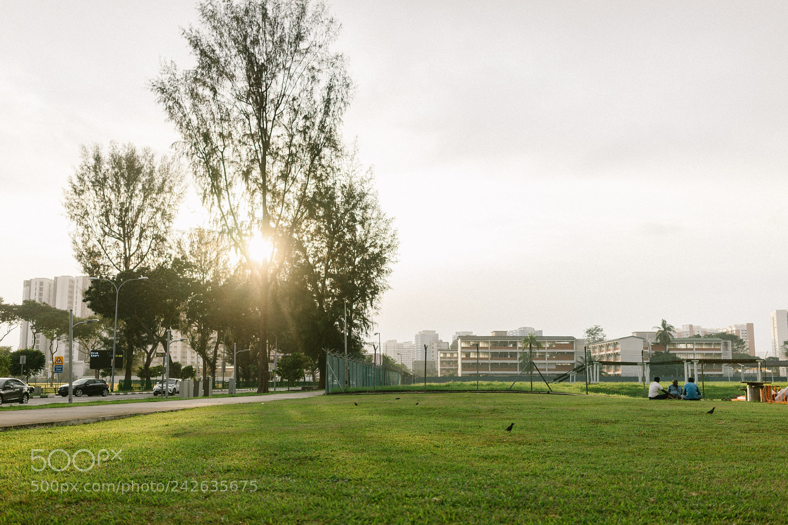 Sony a7 II sample photo. 310/ 365 calming sunset photography