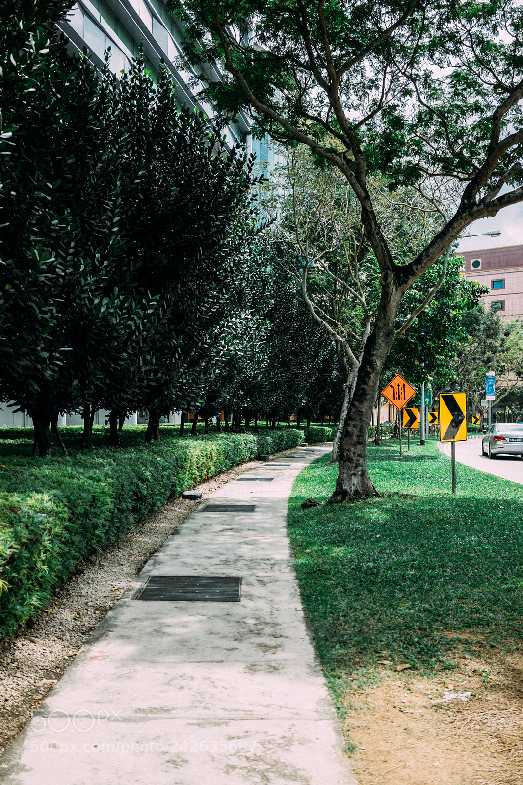 Sony a7 II sample photo. Pedestrian walk photography