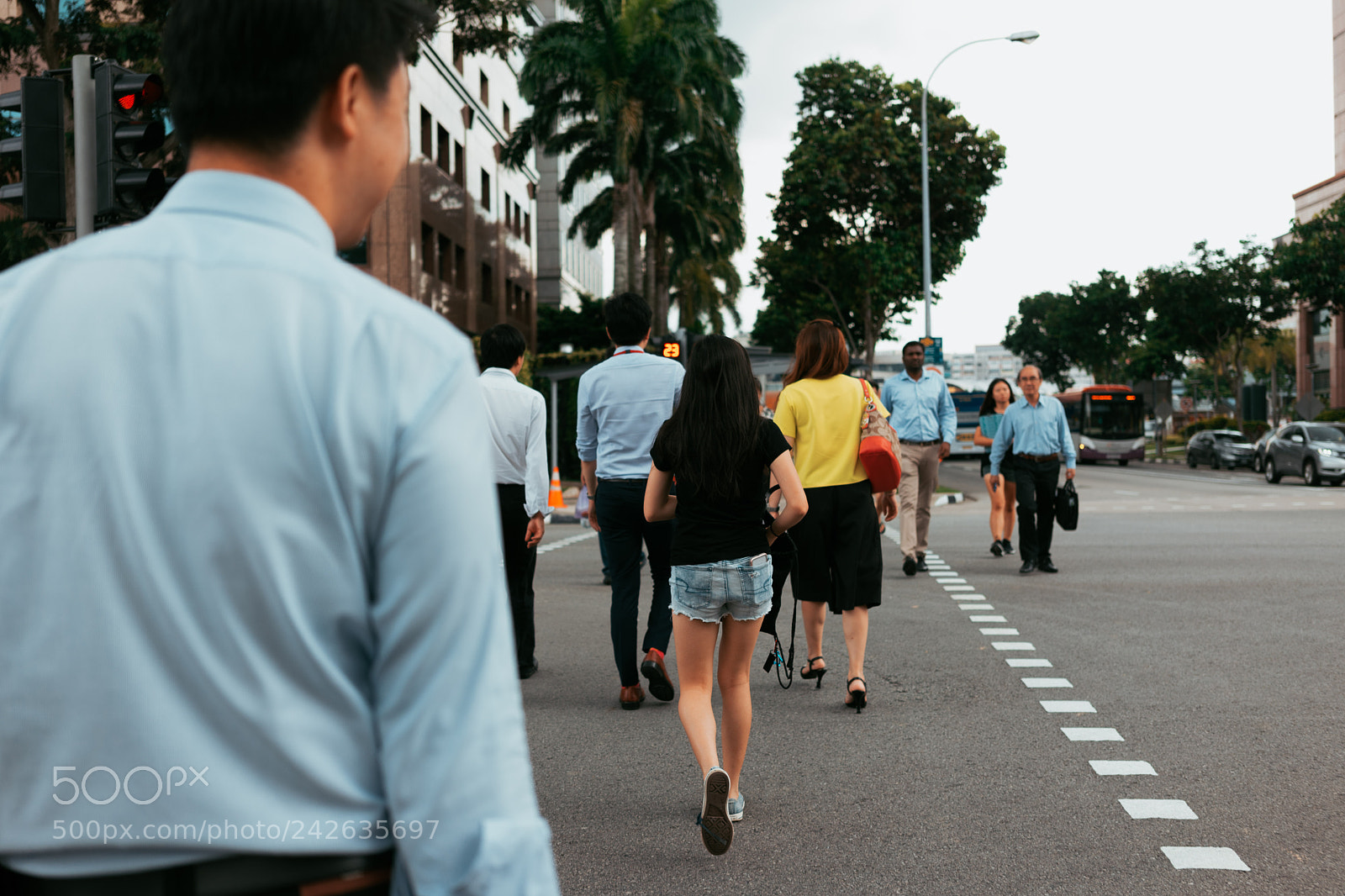 Sony a7 II sample photo. Crossing photography
