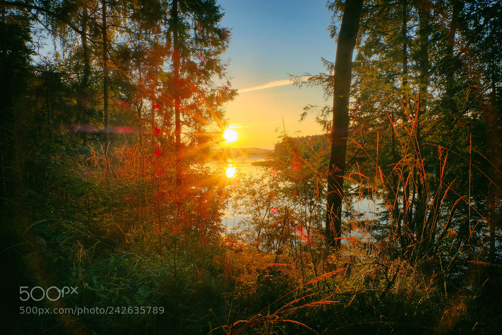 Fujifilm X-T20 sample photo. Sunsets sosnovy bor.Закаты Соснового Бора photography