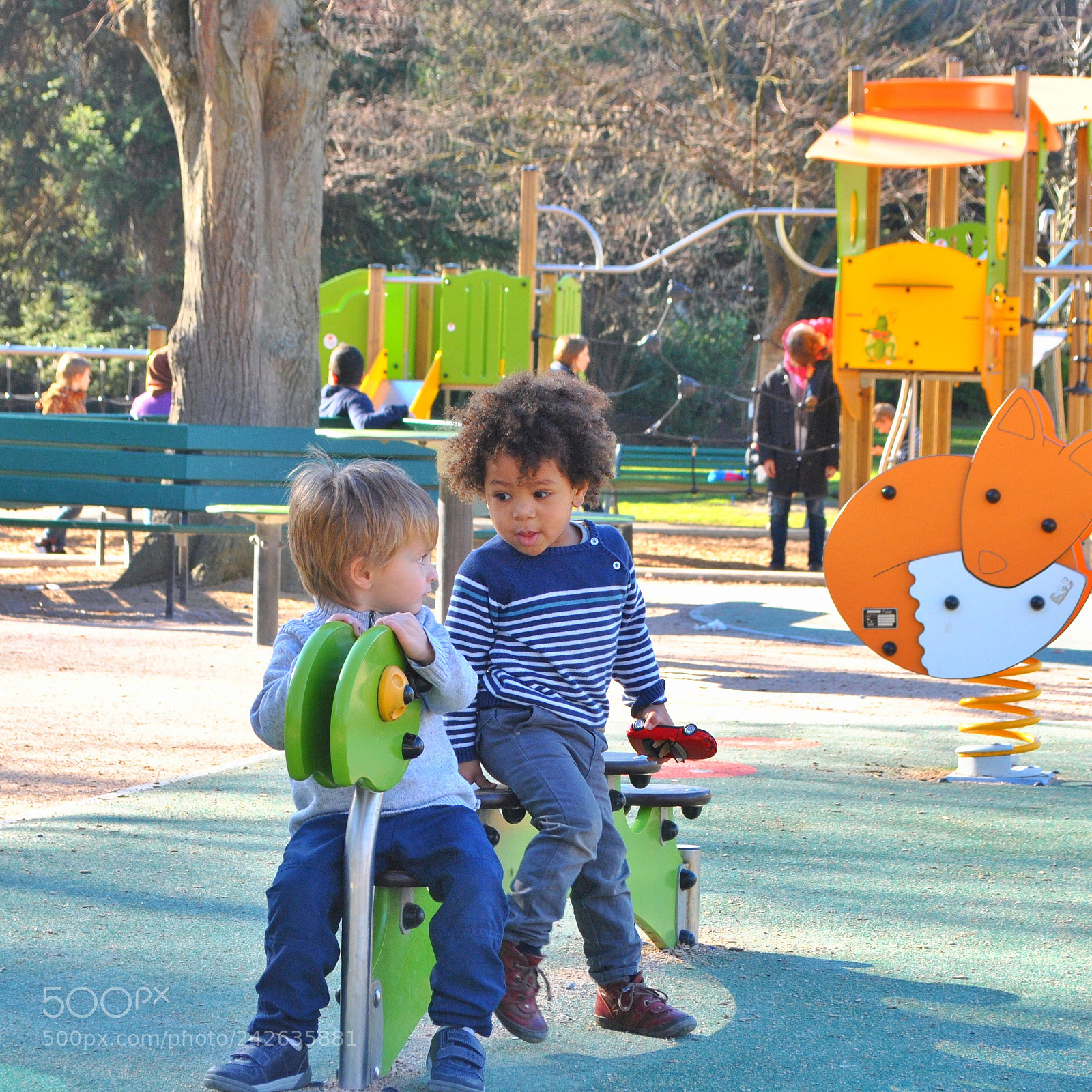 Nikon D3000 sample photo. Untitled photography