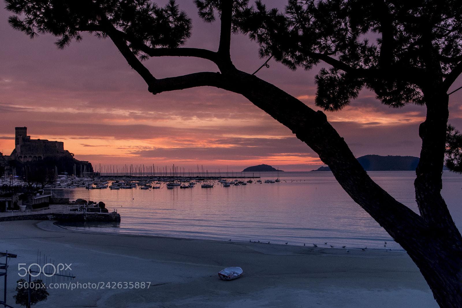 Nikon D7200 sample photo. Sunset photography