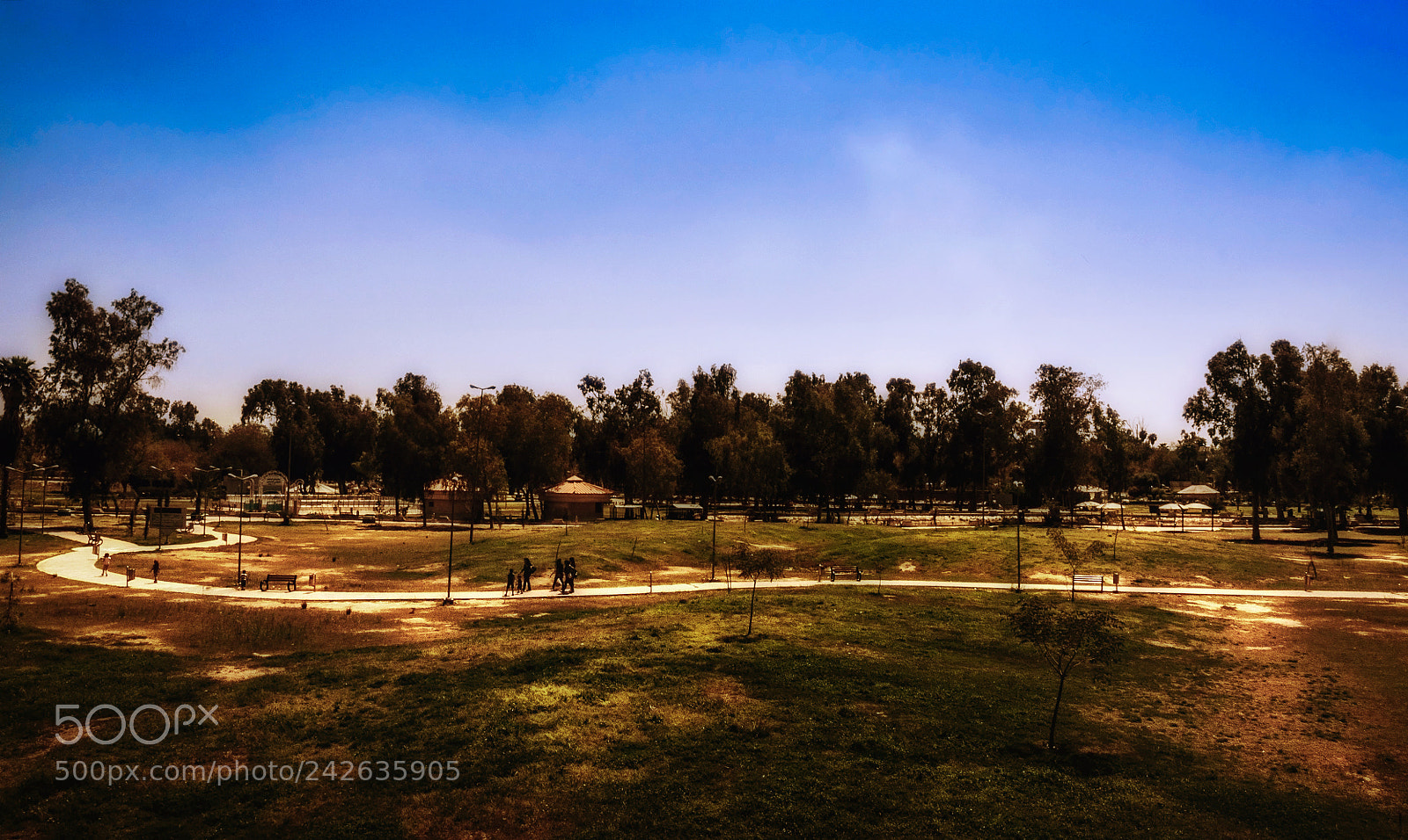 Sony Alpha DSLR-A350 sample photo. Park at noon iii photography