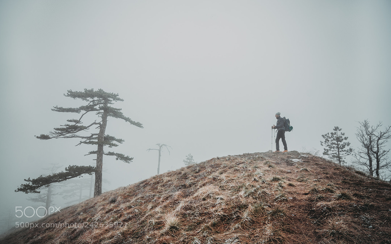 Nikon D7100 sample photo. Alone photography