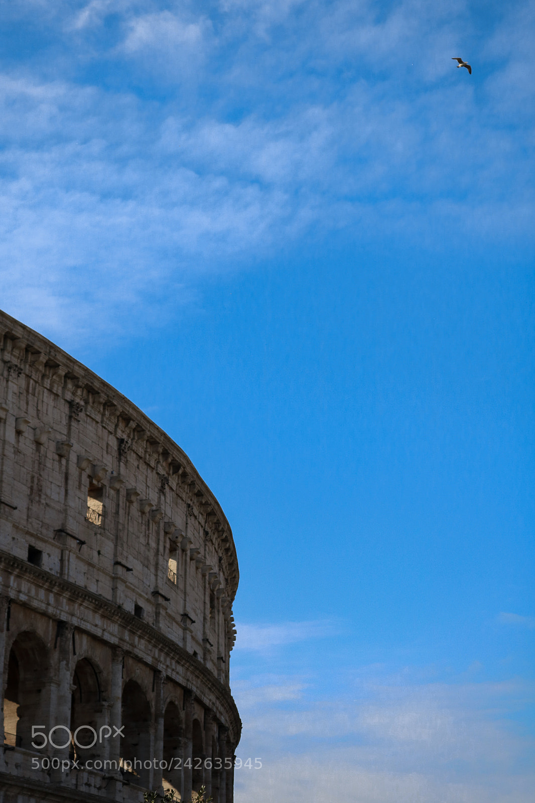 Canon EOS 750D (EOS Rebel T6i / EOS Kiss X8i) sample photo. My rome, my city. photography