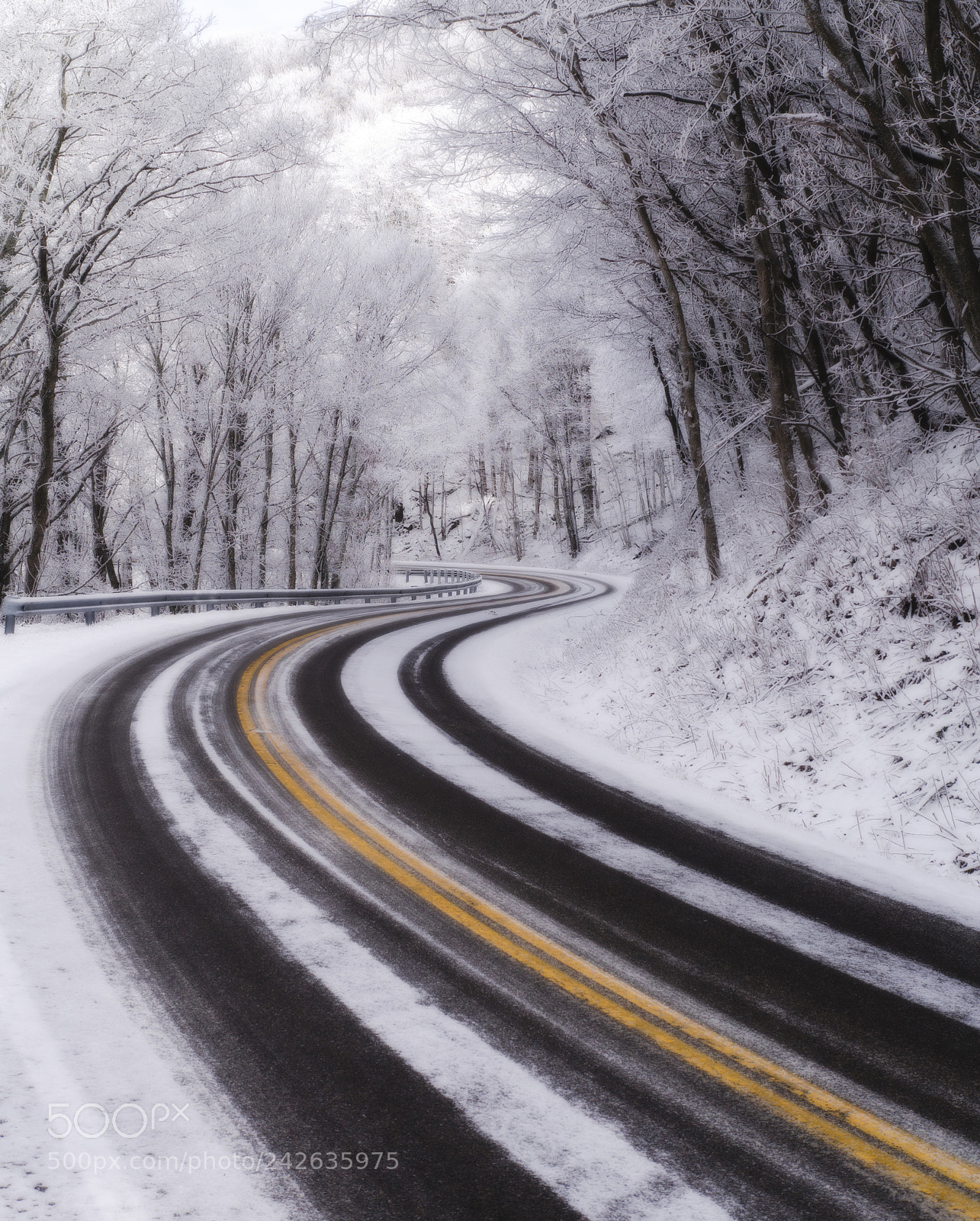 Panasonic Lumix DMC-GX1 sample photo. Road to roan photography
